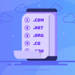 domain name extension