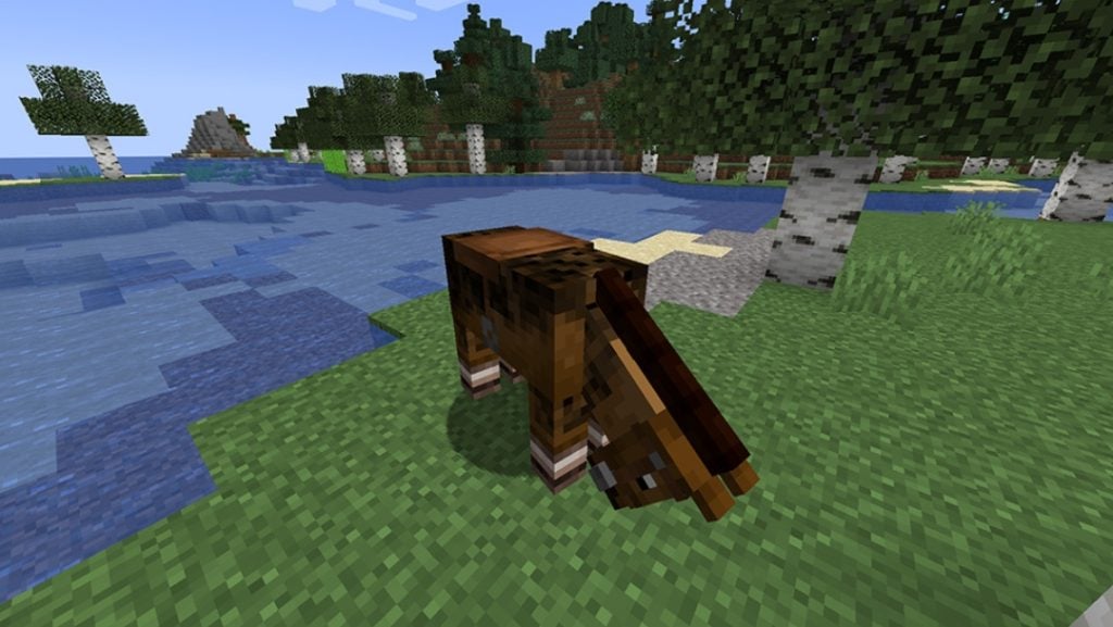 Приручение лошади