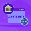 .institute Domain