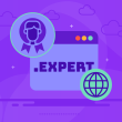 .expert Domain