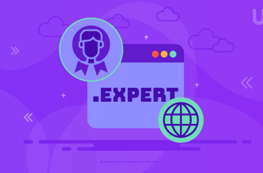 .expert Domain