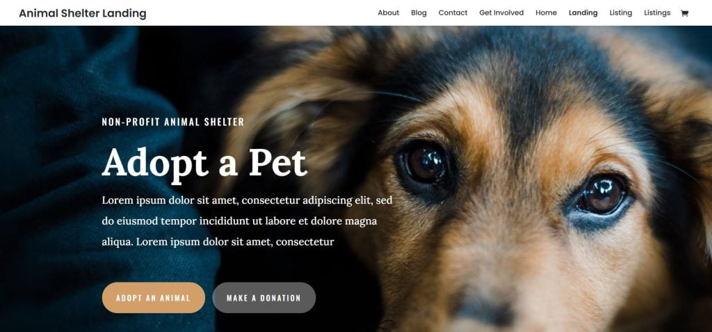 Divi WordPress Theme for Non-Profit Organizations