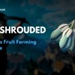 Yucca Fruit Guide Enshrouded