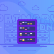 Primary DNS