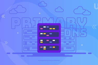 Primary DNS