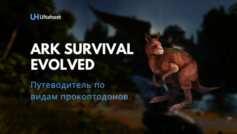 Путеводитель по видам прокоптодонов