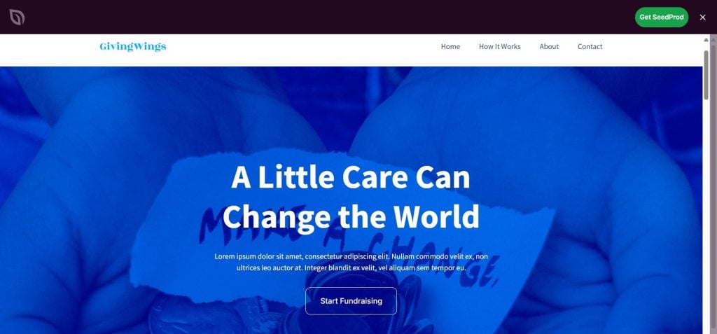 SeedProd WordPress Theme for Non-Profit Organizations