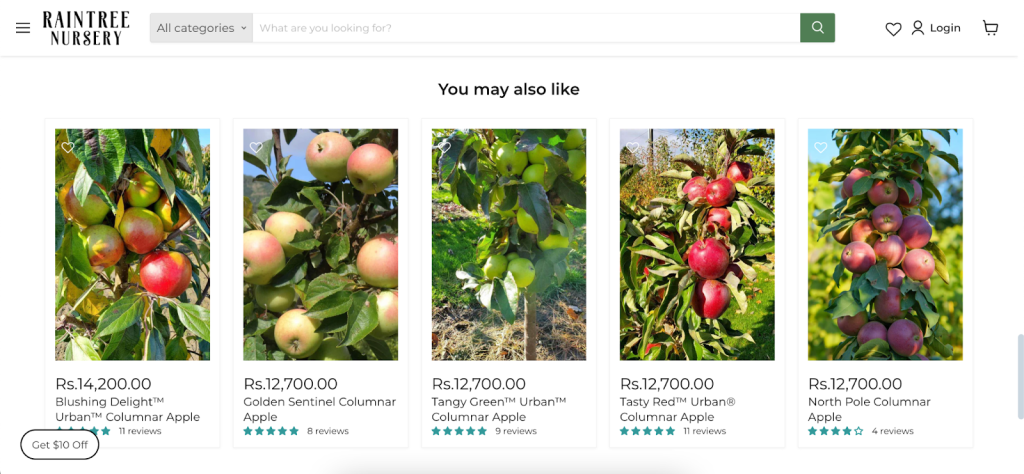 eCommerce Personalization