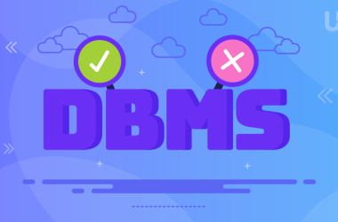 Pros and Cons of DBMS