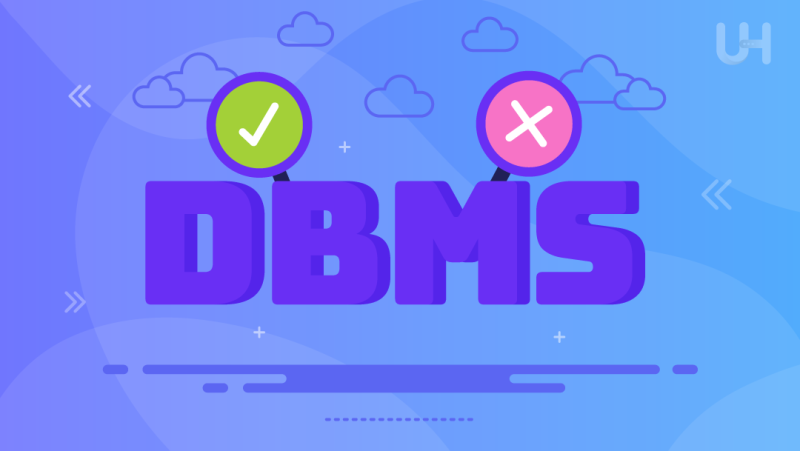 Pros and Cons of DBMS