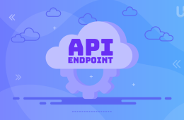 API Endpoint