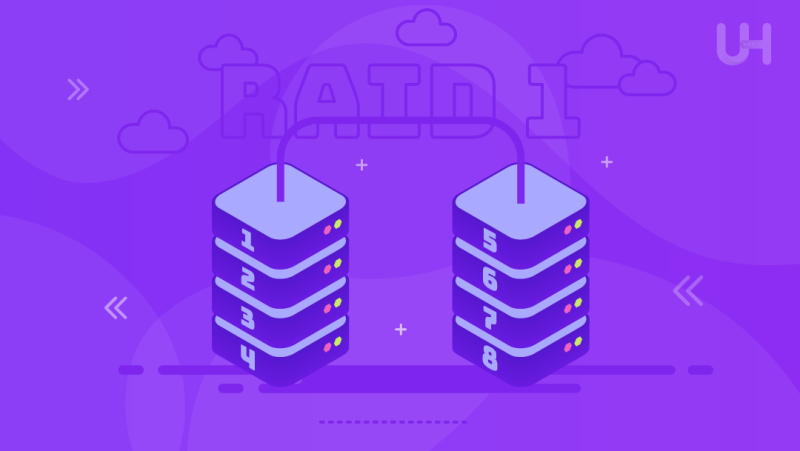 RAID Storage