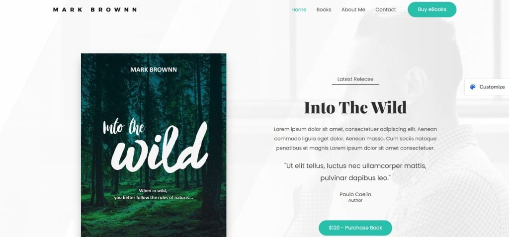 Astra WordPress Author Theme