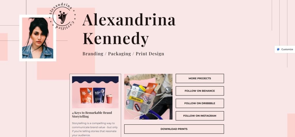 Astra WordPress Resume Theme