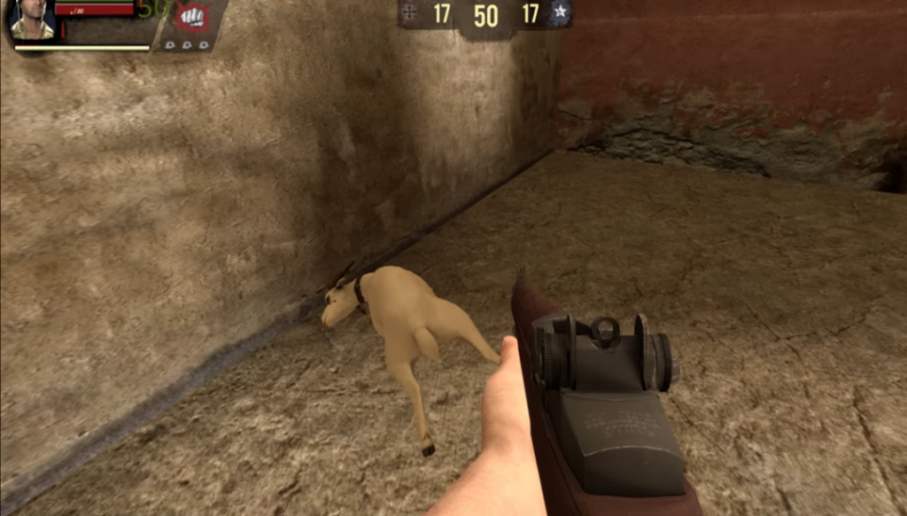 Community-and-Support