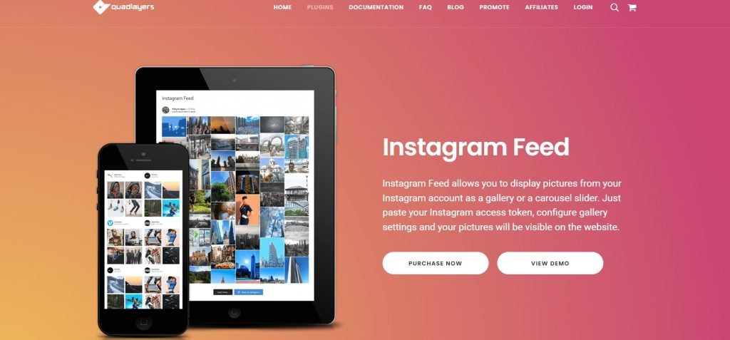 Instagram Feed Gallery