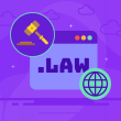 .Law Domain