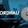 Top 5 Important Shields in Mordhau