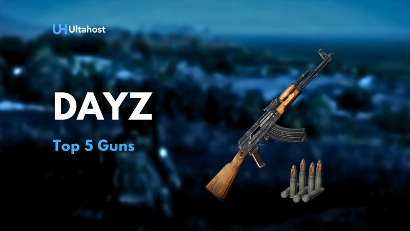 Top 5 Guns in DayZ
