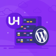 Managed WordPress Hosting in New Zealand