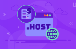 .host domain