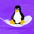 Lightweight Linux Distro
