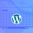 VPS vs WordPress Hosting