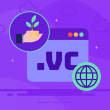.VC Domain