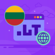 .lt Domain