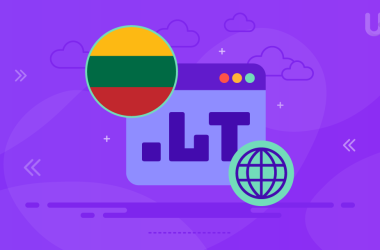.lt Domain