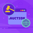 .Auction Domain