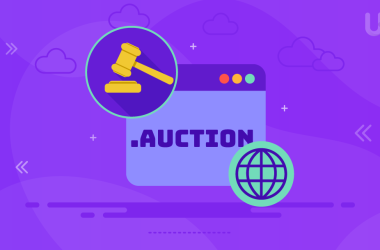 .Auction Domain