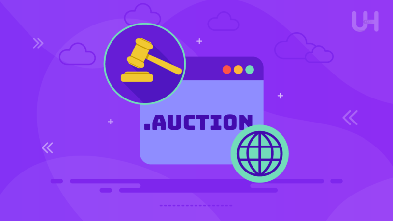 .Auction Domain