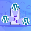 Best Mobile Friendly WordPress Themes