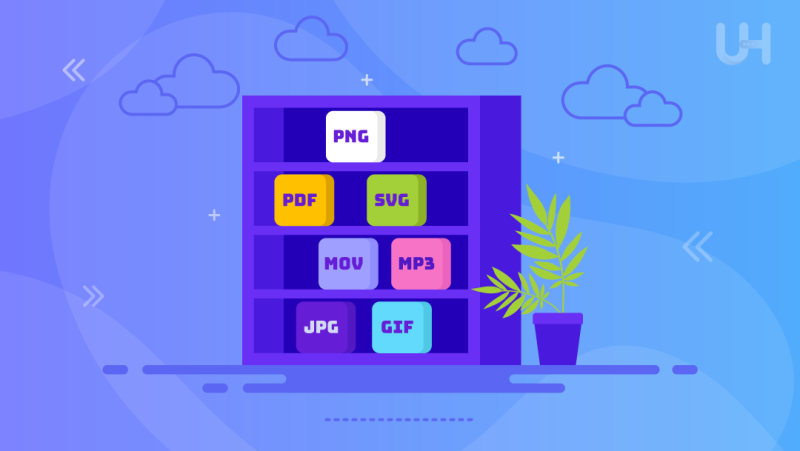 Best Wordpress Media Library Plugins