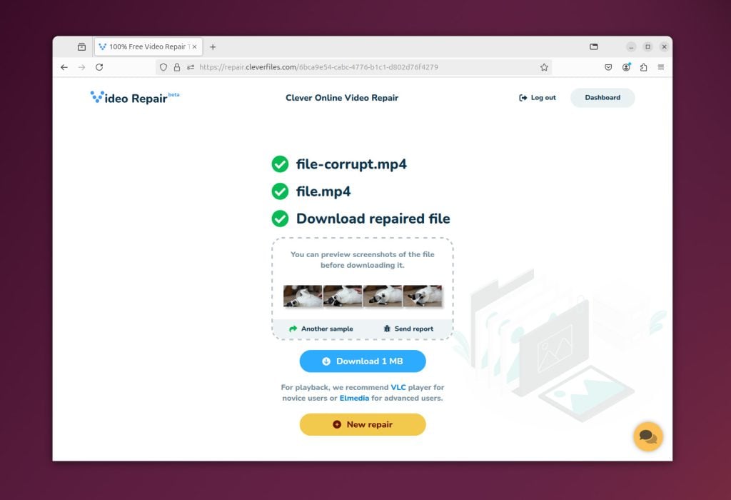Online Video Repair Alternative