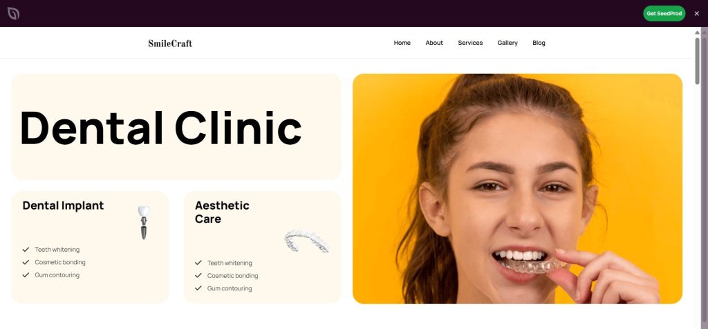 SeedProd Medical Theme