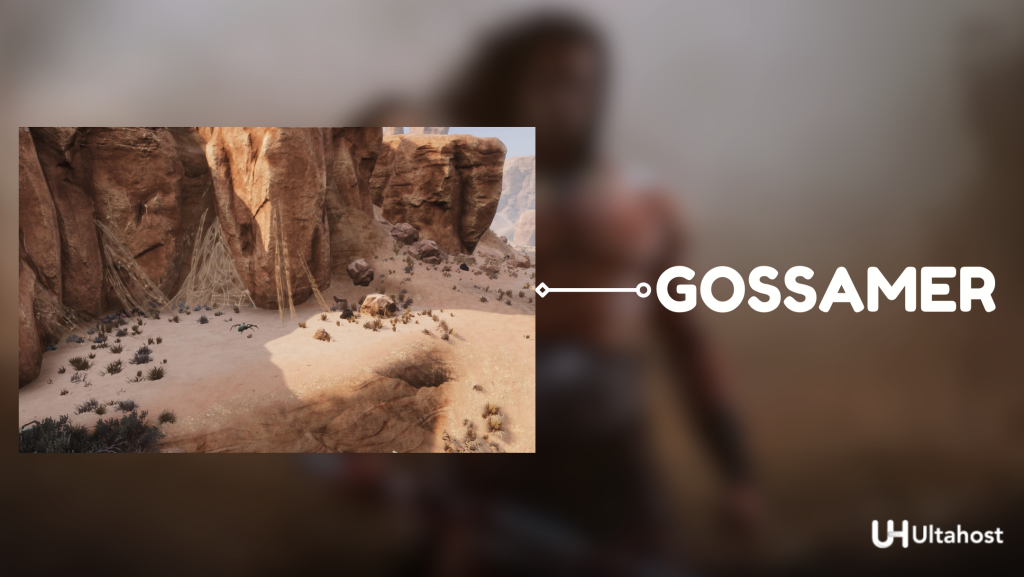 Crafting Silk Using Gossamer