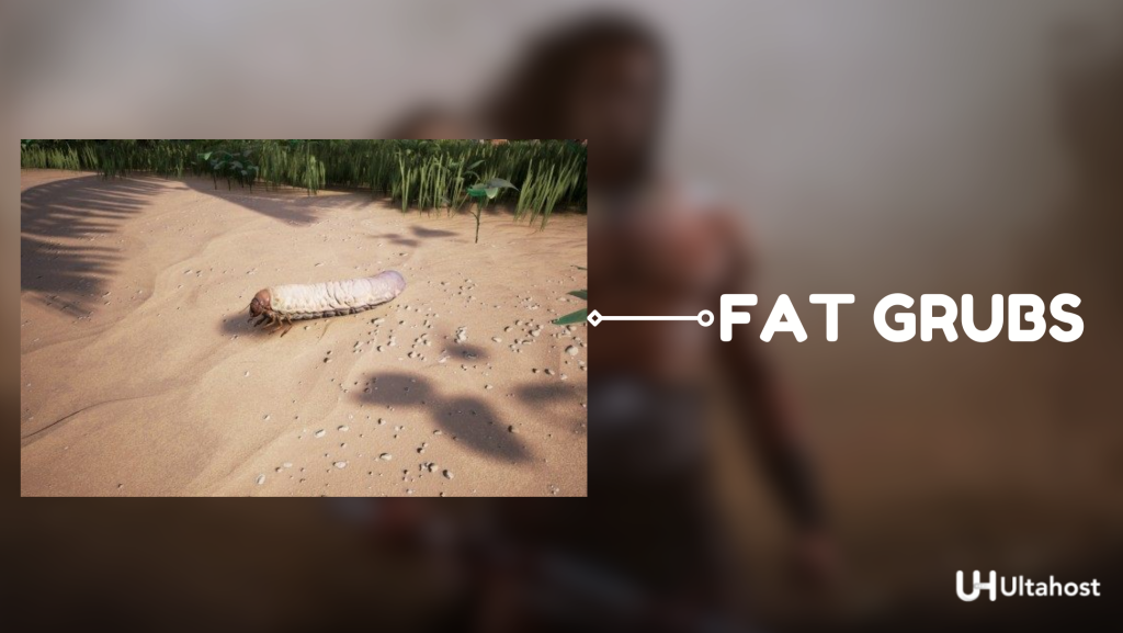 Producing Silk Using Fat Grubs