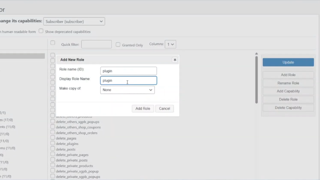 Creating a Role with a Plugin