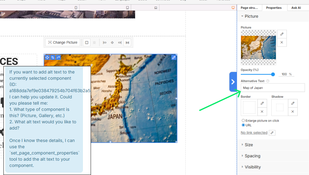 create website and setup basic seo