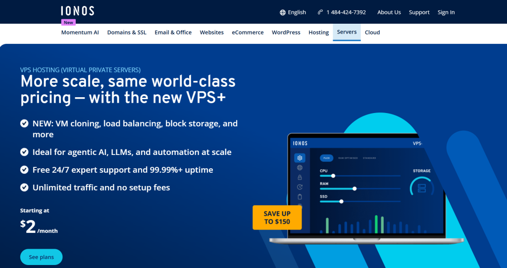 IONOS Hosting