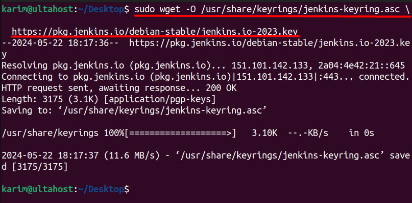 sudo-wget