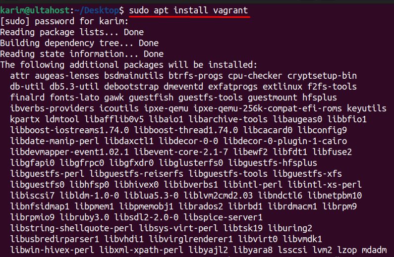 install vagrant