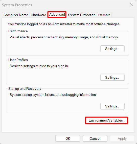 environment variable