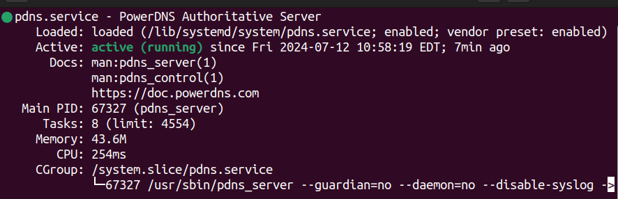 powerdns status