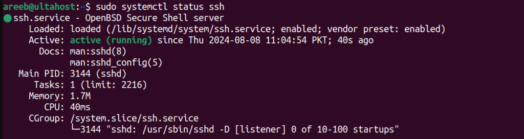 ssh status