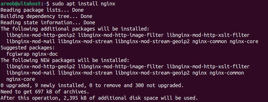 install nginx