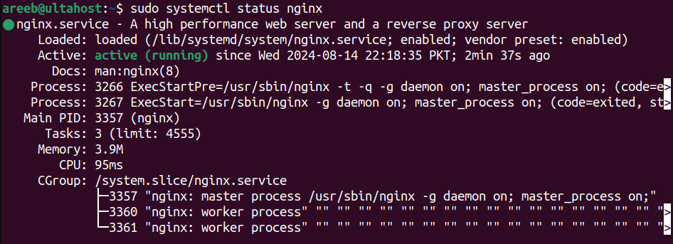 nginx status