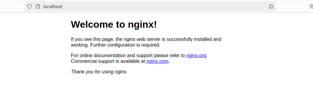 nginx browser